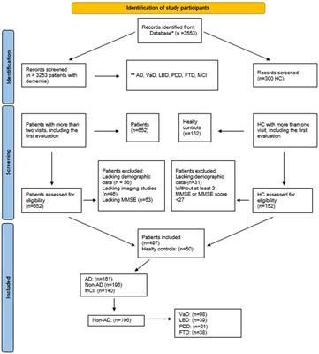 Factors affecting progression of non-Alzheimer dementia: a retrospective analysis with long-term follow-up